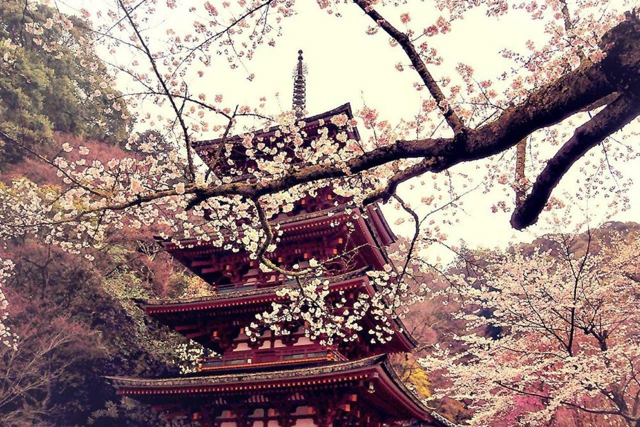 Close To Golden Temple -kinkakuji- Apartment